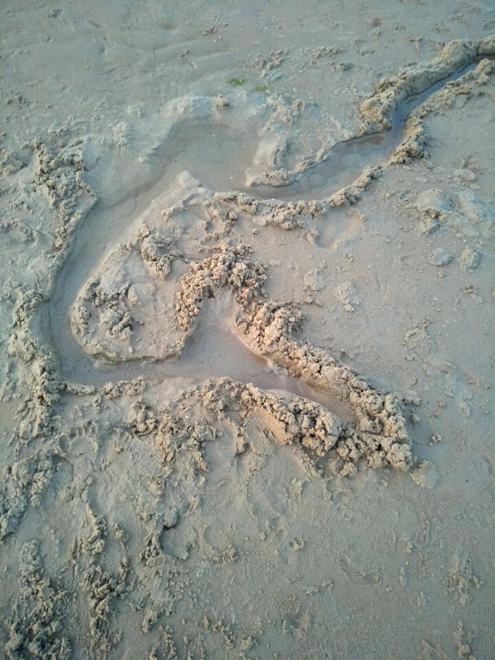 Beach abstract lonely