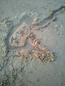 Beach abstract lonely