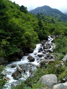 Horn river green scenery streams photo