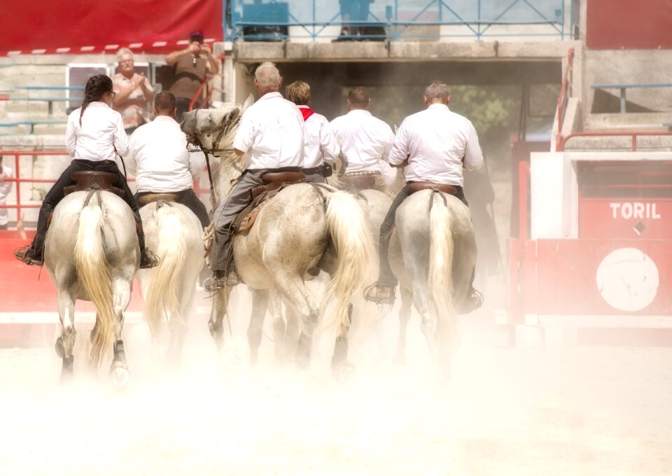 Camargue horses gardians