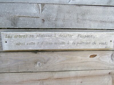 Wood text words