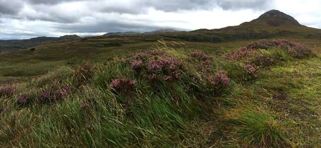 Atmospheric irish green