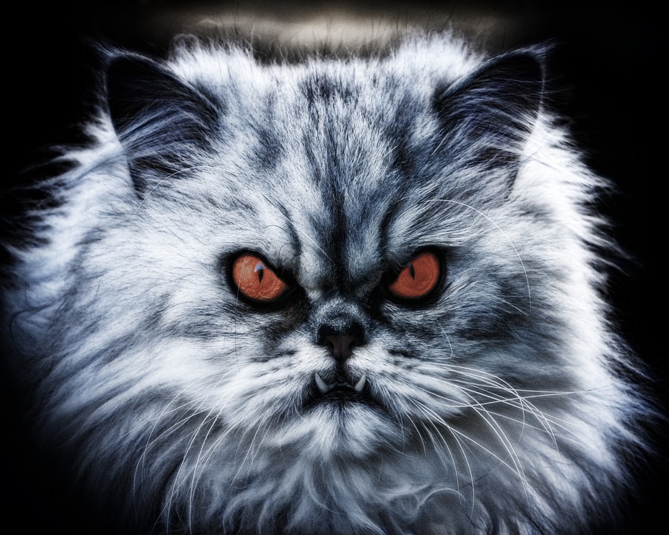 Diabolical devil evil