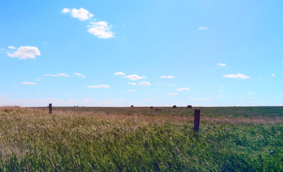 Field saskatchewan canada
