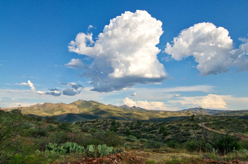 Mountains arizona summer