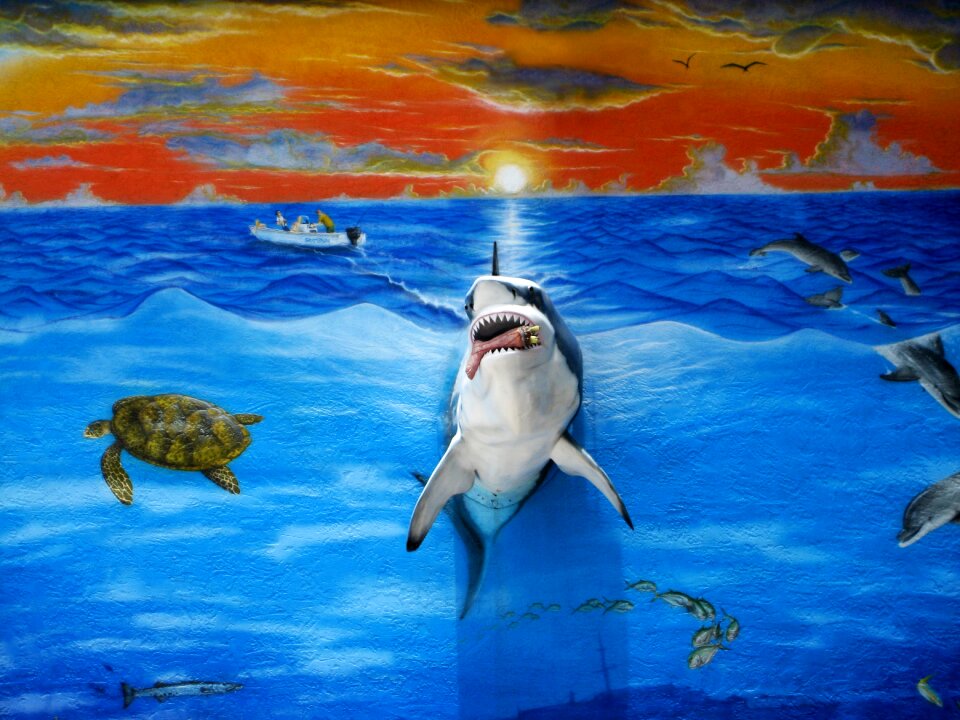 Painting turtle dolphins