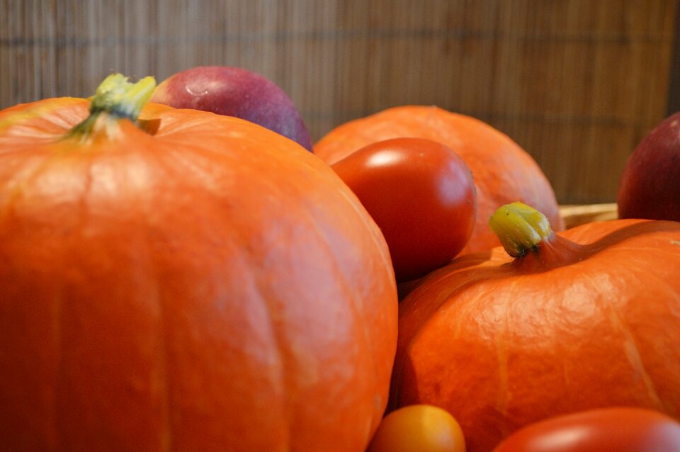 Harvest garden orange