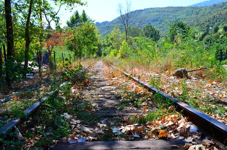 Railroad albania forest