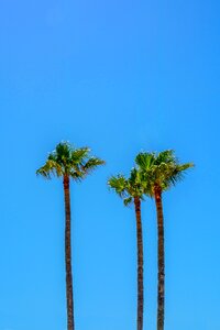 Summer blue vacation