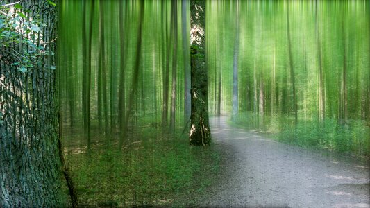 Nature landscape mood
