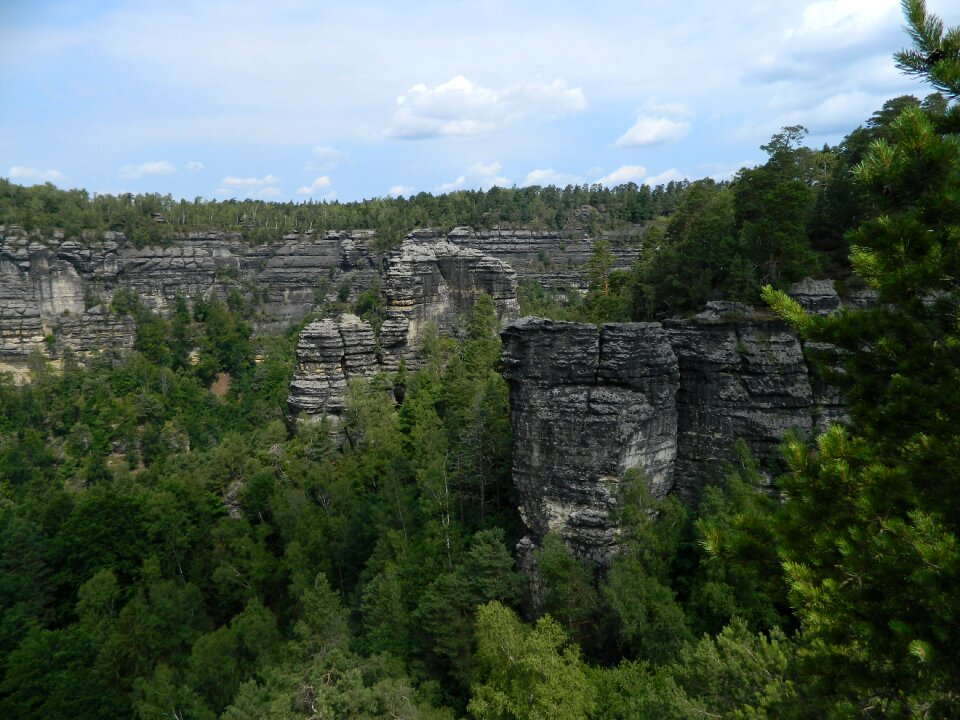 Forest mountains natural