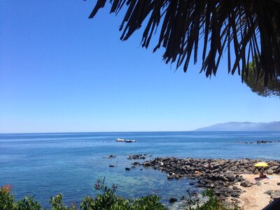 Summer coast nature