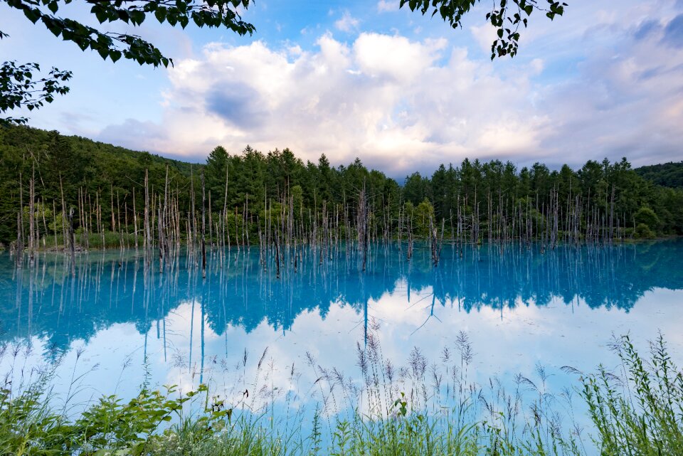 Natural pond blue