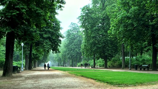 Park trees rest