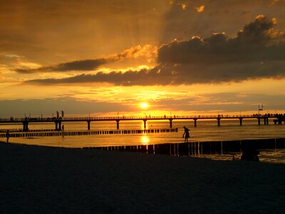 Gold romance zingst