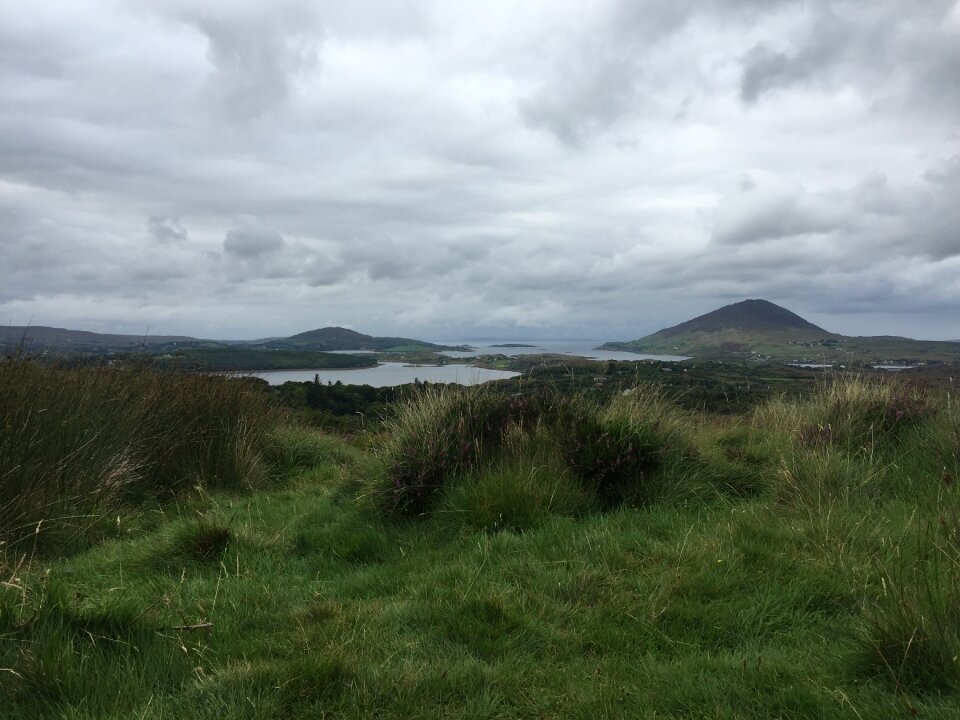 Ireland north meadow