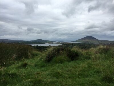 Ireland north meadow photo
