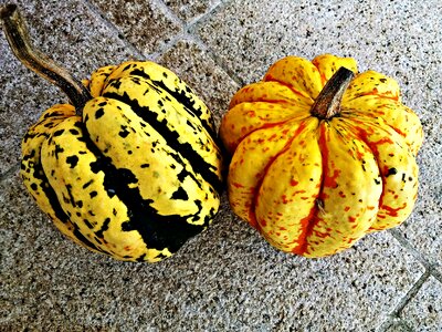 Vegetables autumn collections