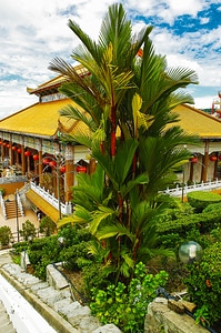Palm temple malaysia