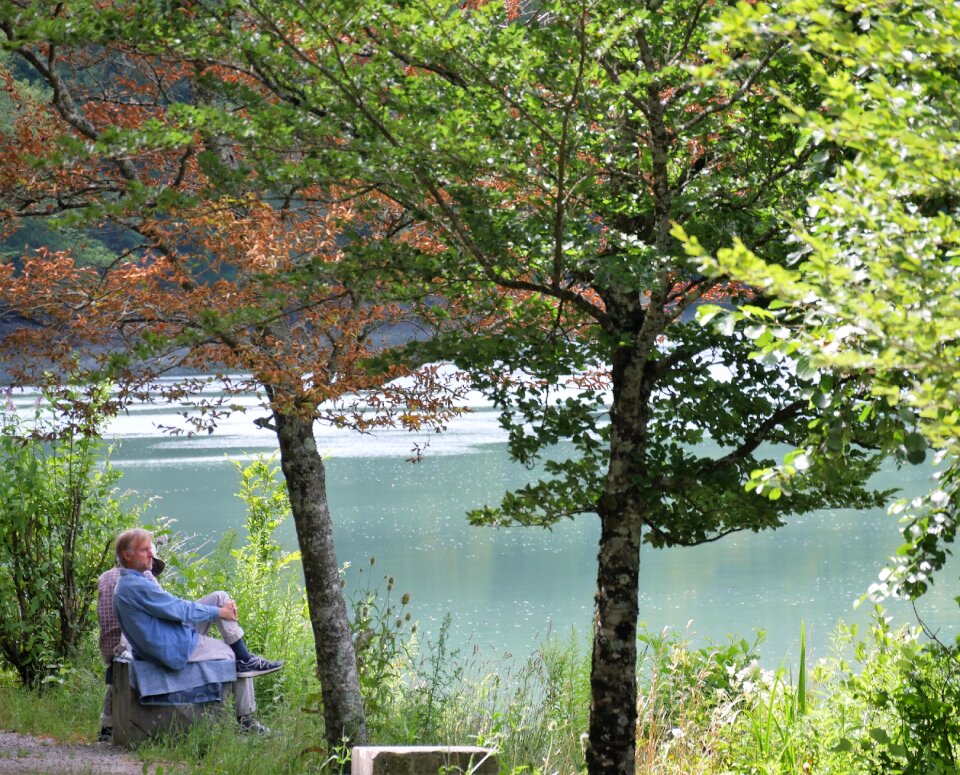 Pause landscape water