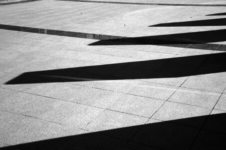 Shadow black and white form