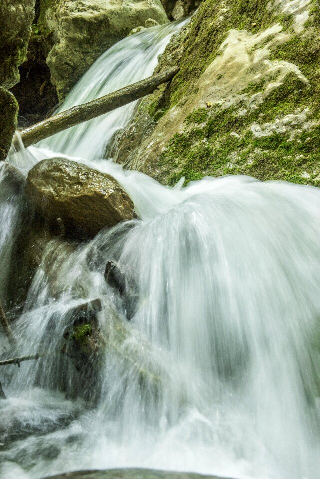 Water spray forest
