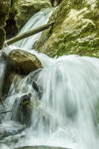 Water spray forest photo