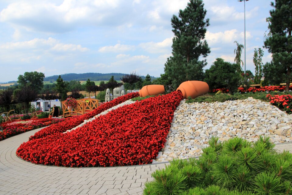Flowers garden nature