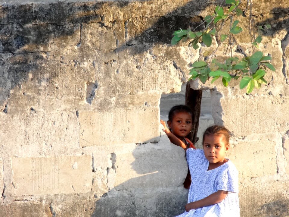 Africa pemba wall