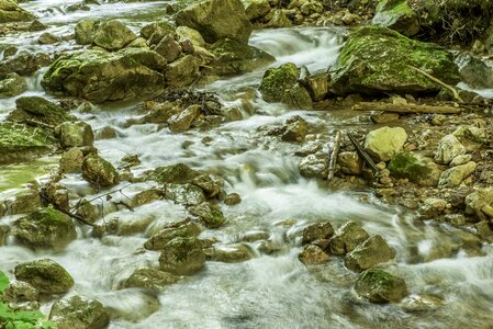 Water spray forest photo