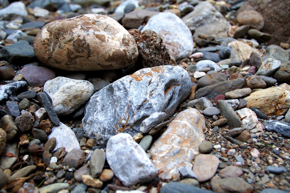 Bank nature stream