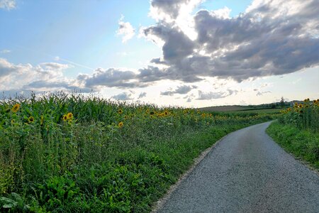 Liptingen tuttlingen weather photo