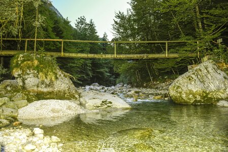 Landscape nature river