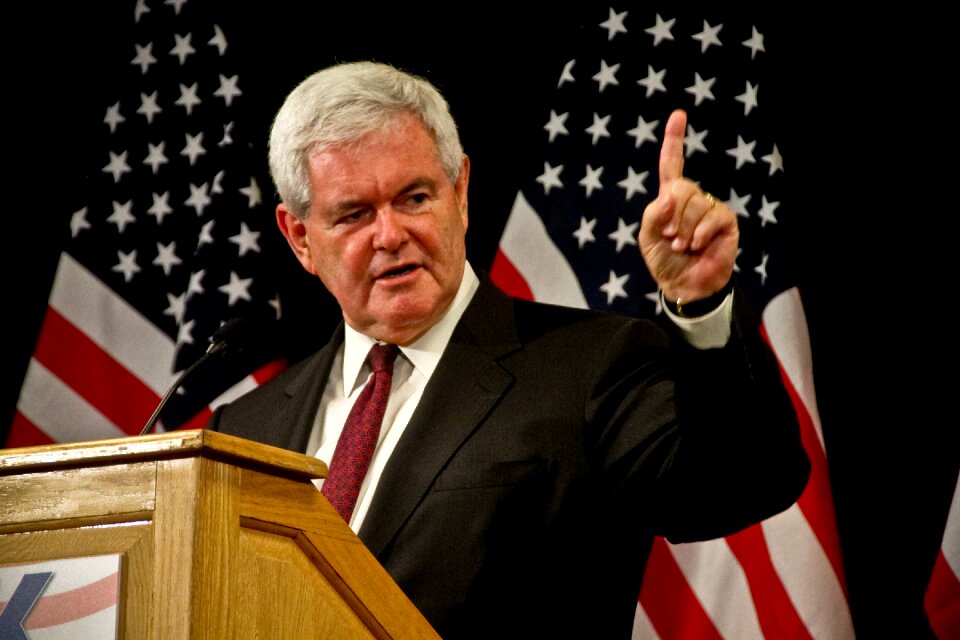 Flag usa newt gingrich