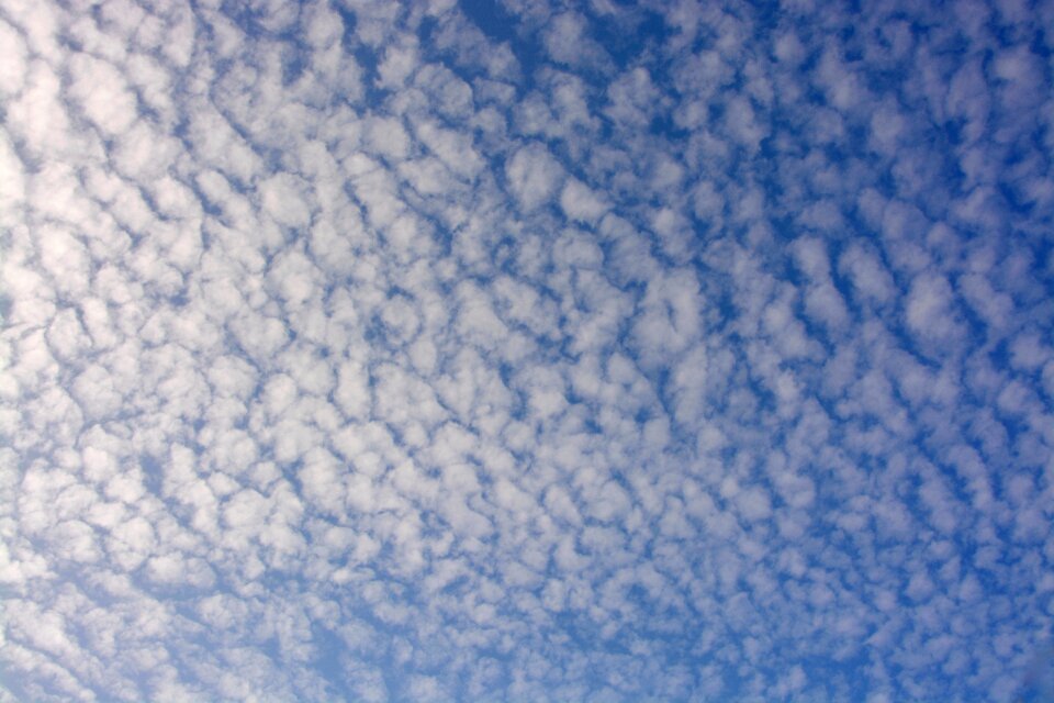 Cloudy sky sheep cirrus