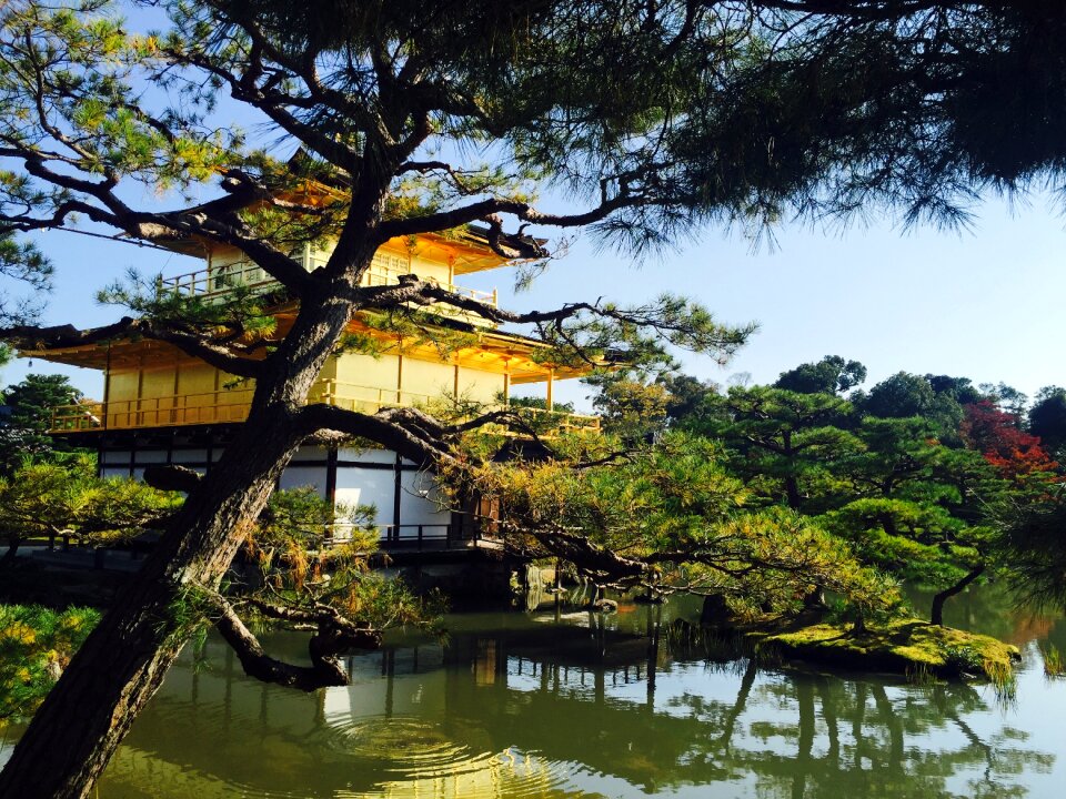 Kinkaku ji kyoto japan