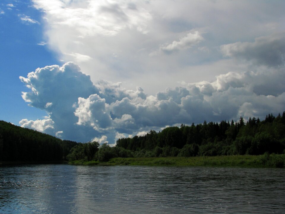 Summer day nature