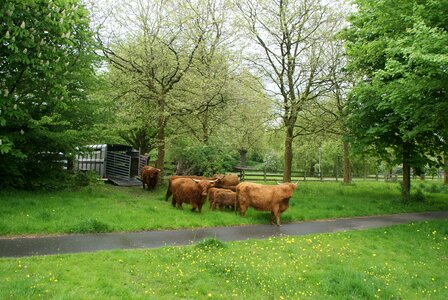 Highlanders zuidhorn park