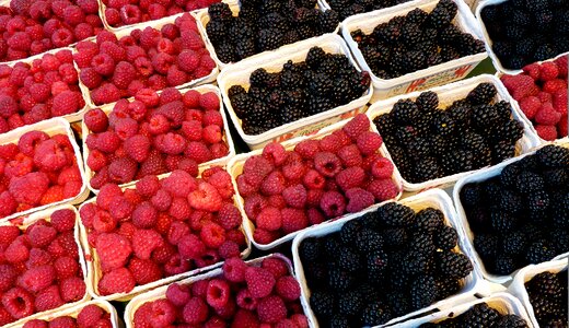 Food berries fruits photo