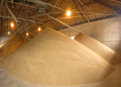 Barley malt land