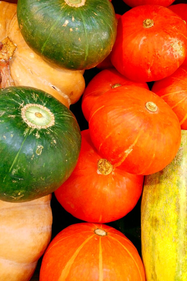 Halloween agriculture food