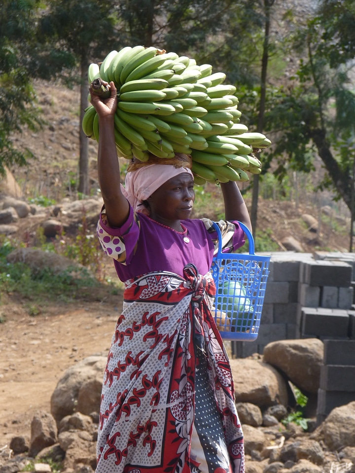 Bananas africa on the head wear