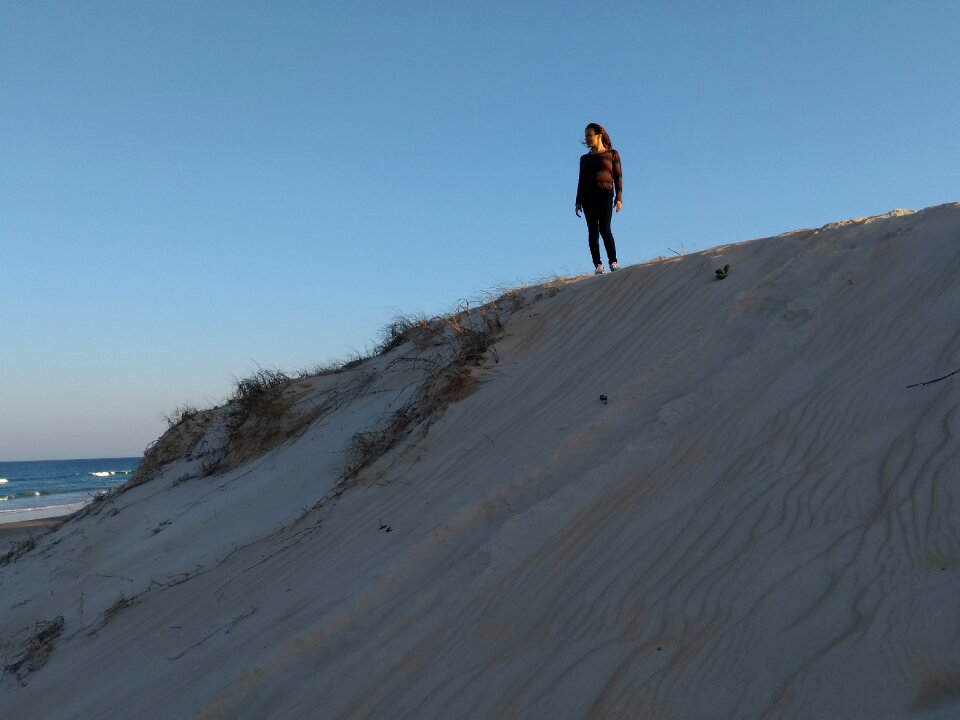 Sand hill blue