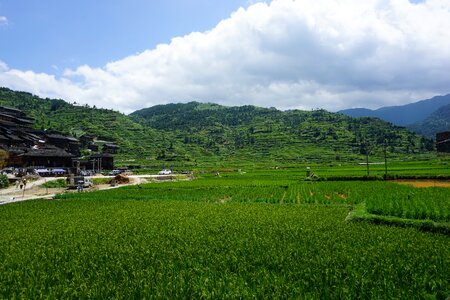 Guizhou xijiang the scenery