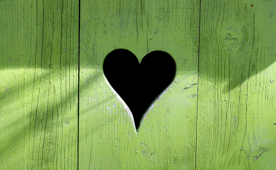 Symbol love wood photo