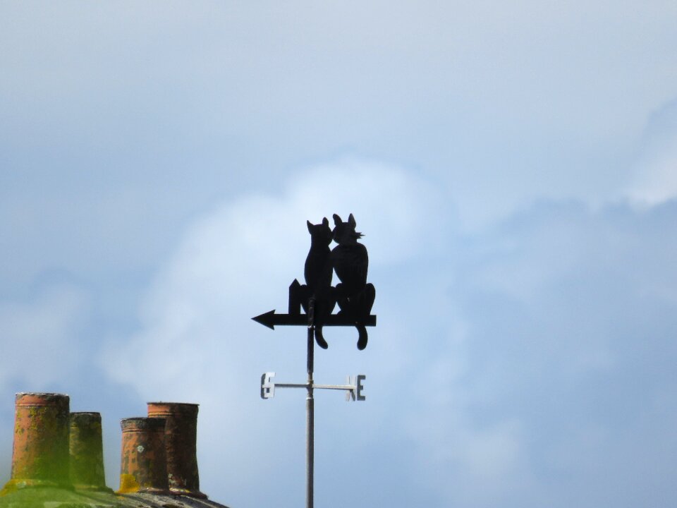 Weather vane cat wind