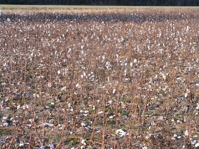 Agriculture white textile