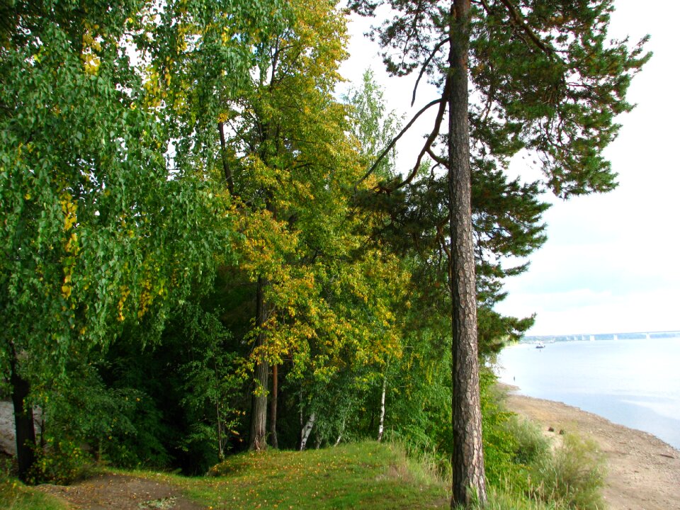 River nature russia