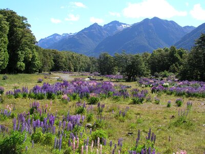 Arthur's pass nature landscape photo