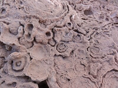 Sahara gypsum structure photo